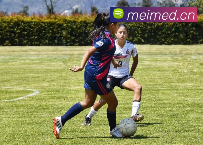 九游j9官网全站App